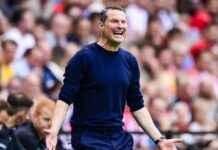 Feyenoord vs. Willem II: Match Prediction, Team News, Lineups news-10082024-182929