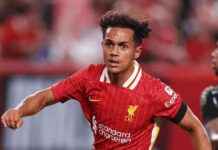 Liverpool Reject £15m Southampton Bid for Carvalho news-10082024-183342