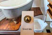 Enhanced Ship Museum Experience: Visitors Can Now Control Scents news-12082024-193825