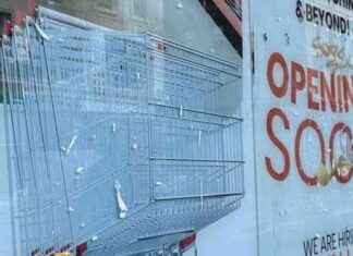 Exclusive Products Available at New Glasgow Supermarket news-13082024-074129