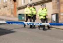 Police arrest man for multiple counts of fraud in recent investigation news-15082024-201842