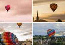 Cancellation of Popular Weekend Festival Causes Disappointment news-23082024-104822