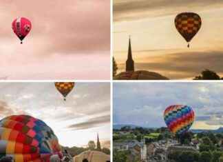 Cancellation of Popular Weekend Festival Causes Disappointment news-23082024-104822