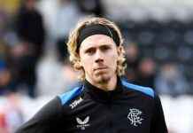 Todd Cantwell linked with Rangers transfer as Championship club prepares offer news-27082024-110955