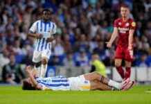 Matt O’Riley Injury Update: Insights from Brighton Chief news-03092024-234341