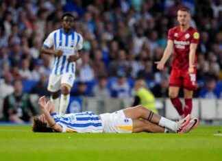 Matt O’Riley Injury Update: Insights from Brighton Chief news-03092024-234341