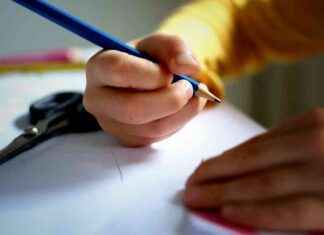 New Head of Education Announced by Council: Complete Guide news-04092024-114552