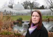 Transforming the Energy Market: Bold Action Needed for Change news-14092024-031618