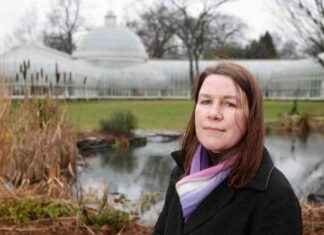 Transforming the Energy Market: Bold Action Needed for Change news-14092024-031618