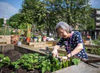 Exploring Hidden Gems: Uncovering Unseen Glasgow Buildings news-14092024-185220