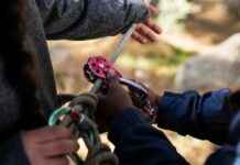 TreeZone Loch Lomond Adventure Park to Close After Nine Years news-17092024-111102