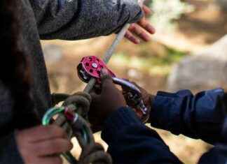 TreeZone Loch Lomond Adventure Park to Close After Nine Years news-17092024-111102