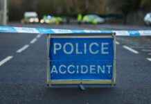 Justice for Dogwalker: Woman Faces Accusations of Fatal Hit-and-Run in Glasgow news-20092024-183804