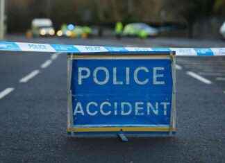 Justice for Dogwalker: Woman Faces Accusations of Fatal Hit-and-Run in Glasgow news-20092024-183804