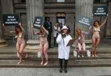 Raising Awareness of Speciesism Through Provocative Art Installation news-22092024-004743