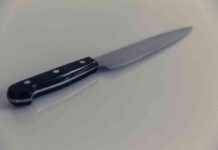 Woman Throws Knife at Sister During Argument: What Happened? news-22092024-085107