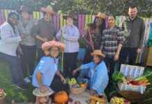 Community Engagement: Glasgow Care Home Hosting Harvest Festival Event news-27092024-081245