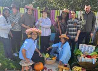 Community Engagement: Glasgow Care Home Hosting Harvest Festival Event news-27092024-081245