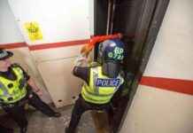 Police Find Over £20k Worth of Cannabis Plants During Raid news-28092024-015721