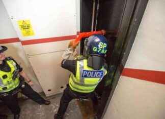 Police Find Over £20k Worth of Cannabis Plants During Raid news-28092024-015721