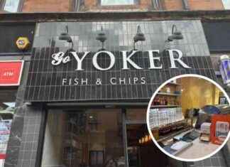 From Blue Lagoon to Chippy: My Journey to Entrepreneurship news-15102024-020144