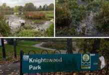 Update on Investigation into Knightswood Pond Leak news-22102024-092223