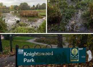 Update on Investigation into Knightswood Pond Leak news-22102024-092223