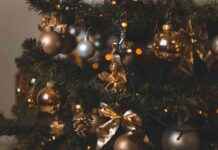 Christmas Celebrations Launch by Council for Month-Long Festivities news-26102024-095807