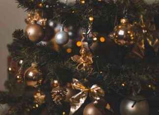 Christmas Celebrations Launch by Council for Month-Long Festivities news-26102024-095807