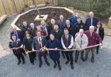 Motherwell FC Memorial Garden: A Tribute to Dedicated Fans news-10112024-154228