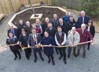 Motherwell FC Memorial Garden: A Tribute to Dedicated Fans news-10112024-154228