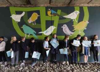 Transformed Glasgow Roundabout into Enchanting Wonderland by Pupils news-11112024-034527