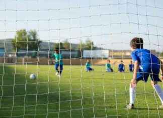 Racecourse Facilities Updates and New Pitches: Council Announcement news-17112024-103152