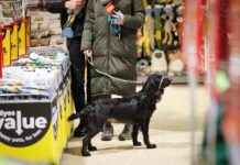 Affordable New Retailer Opens in East Kilbride – Best Value for Customers news-21112024-182903