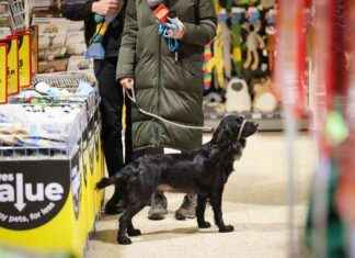 Affordable New Retailer Opens in East Kilbride – Best Value for Customers news-21112024-182903