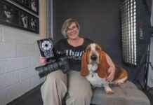 Rescue Dog Photography: How My Pet Inspired My Dream – A Heartwarming Journey rescue-dog-photography-how-my-pet-nspired-my-dream-a-heartwarming-journey