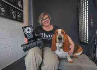 Rescue Dog Photography: How My Pet Inspired My Dream – A Heartwarming Journey rescue-dog-photography-how-my-pet-nspired-my-dream-a-heartwarming-journey