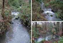 The Reason Behind Popular Park Stream Turning Bright Blue: SEPA Explains the-reason-behind-popular-park-stream-turning-bright-blue-sepa-explains