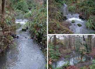 The Reason Behind Popular Park Stream Turning Bright Blue: SEPA Explains the-reason-behind-popular-park-stream-turning-bright-blue-sepa-explains