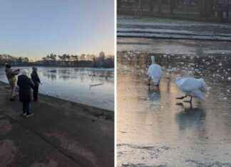 City Pond Freezes Over: Stunning Photos of Temperature Plunge city-pond-freezes-over-stunning-photos-of-temperature-plunge