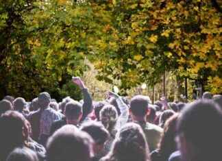 Glasgow Student Organizes Dream Festival in City Park glasgow-student-organizes-dream-festival-in-city-park