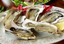 Seafood Restaurant Closing as Owners Shift Venue Direction seafood-restaurant-closing-as-owners-shift-venue-direction