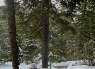 Hot Tub Lodges Glasgow: Discover Your Perfect Relaxation Retreat