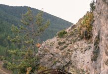 Rail Travel Glasgow to Manchester: Discover Hidden Scenic Routes