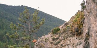 Rail Travel Glasgow to Manchester: Discover Hidden Scenic Routes