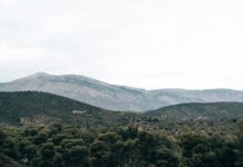 Kings Theatre Glasgow Seating Plan: Discover The Best Seats!