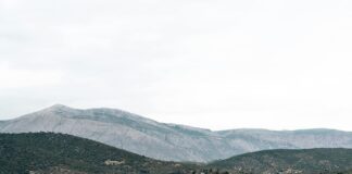 Kings Theatre Glasgow Seating Plan: Discover The Best Seats!