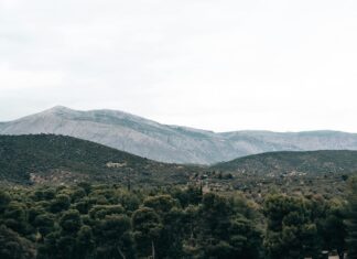 Kings Theatre Glasgow Seating Plan: Discover The Best Seats!