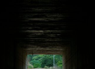 Country to Country Glasgow: Discover Hidden Gems and Local Delights