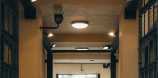 Kelvin Walkway Glasgow: Discover Hidden Gems Along the Path